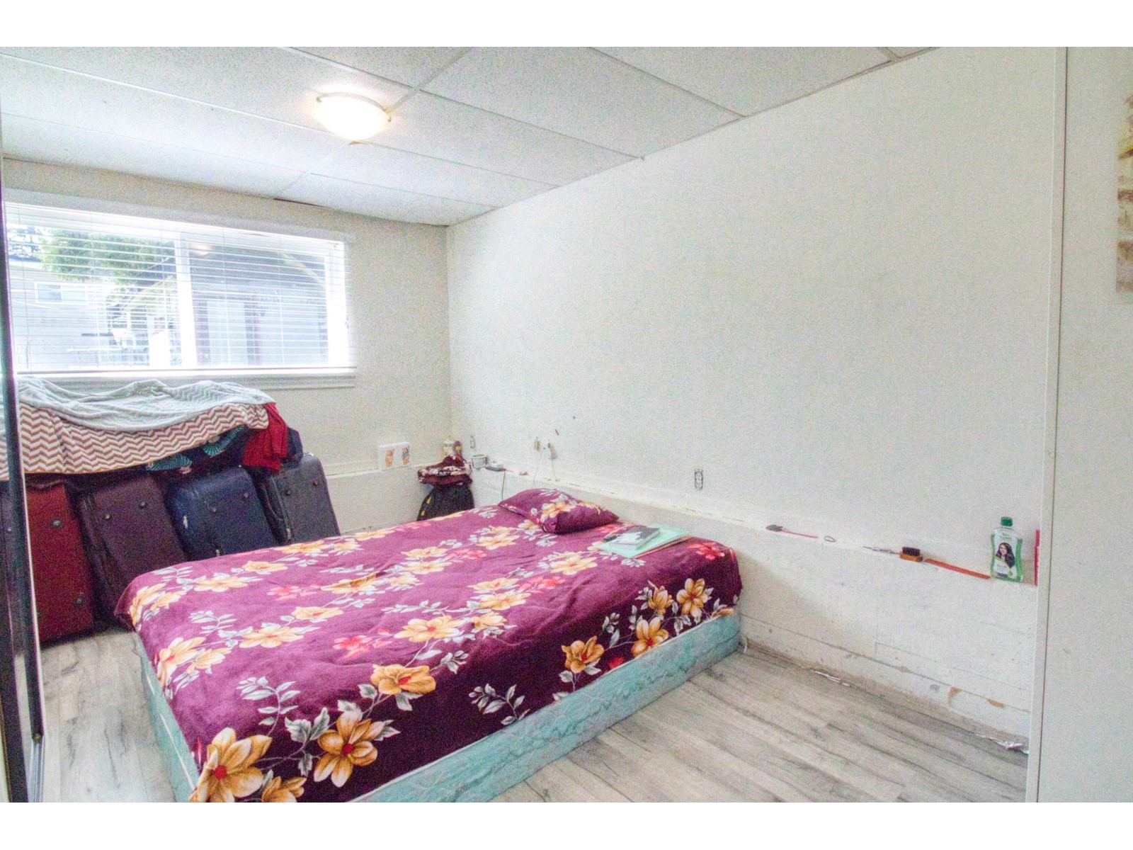 12130-12132 98 Avenue, Surrey, British Columbia  V3V 2J8 - Photo 29 - R3010990