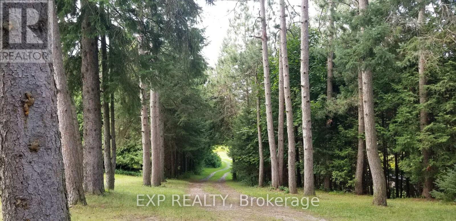 5693 East Townline Road, Port Hope, Ontario  L0A 1J0 - Photo 29 - X12181307