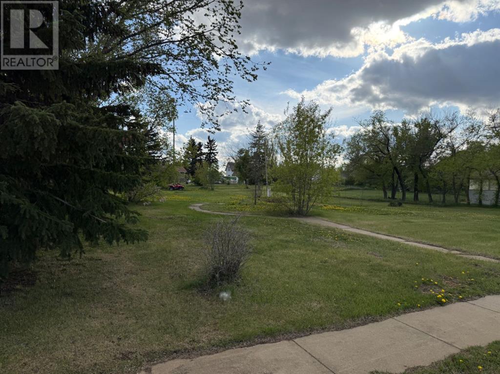 303 Haultain Ave, Heisler, Alberta  T0B 2A0 - Photo 3 - A2222109