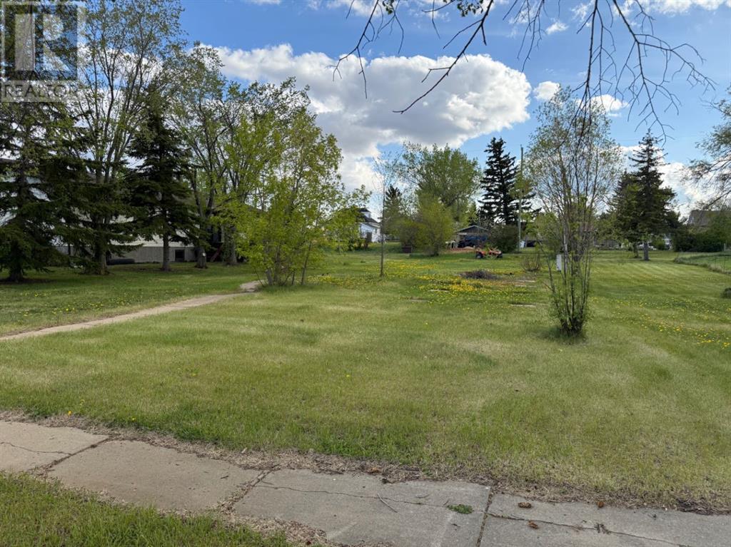 303 Haultain Ave, Heisler, Alberta  T0B 2A0 - Photo 4 - A2222109