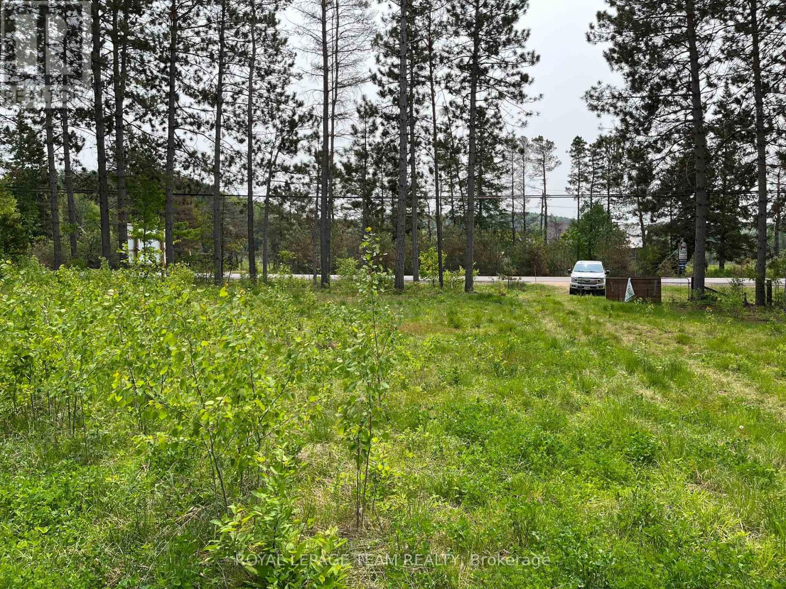 18500 Highway 60 Highway, Madawaska Valley, Ontario  K0J 1B0 - Photo 2 - X12193987