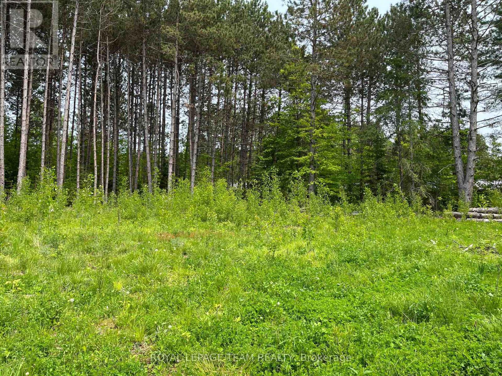 18500 Highway 60 Highway, Madawaska Valley, Ontario  K0J 1B0 - Photo 4 - X12193987