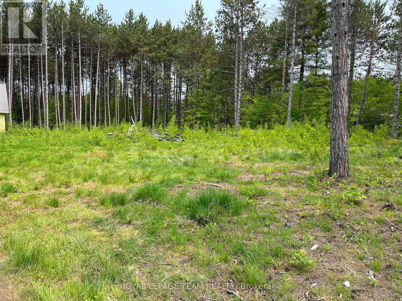 18500 Highway 60 Highway, Madawaska Valley, Ontario  K0J 1B0 - Photo 6 - X12193987