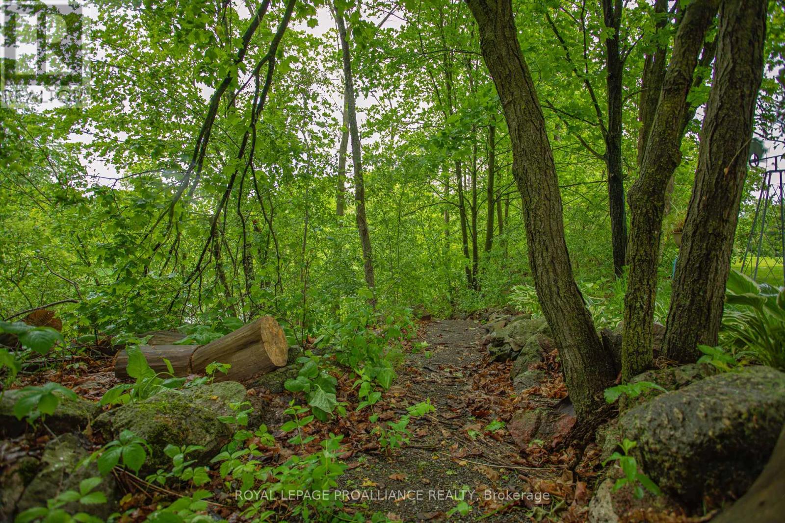 5460 Hinchinbrooke Road, Frontenac, Ontario  K0H 1W0 - Photo 38 - X12190858