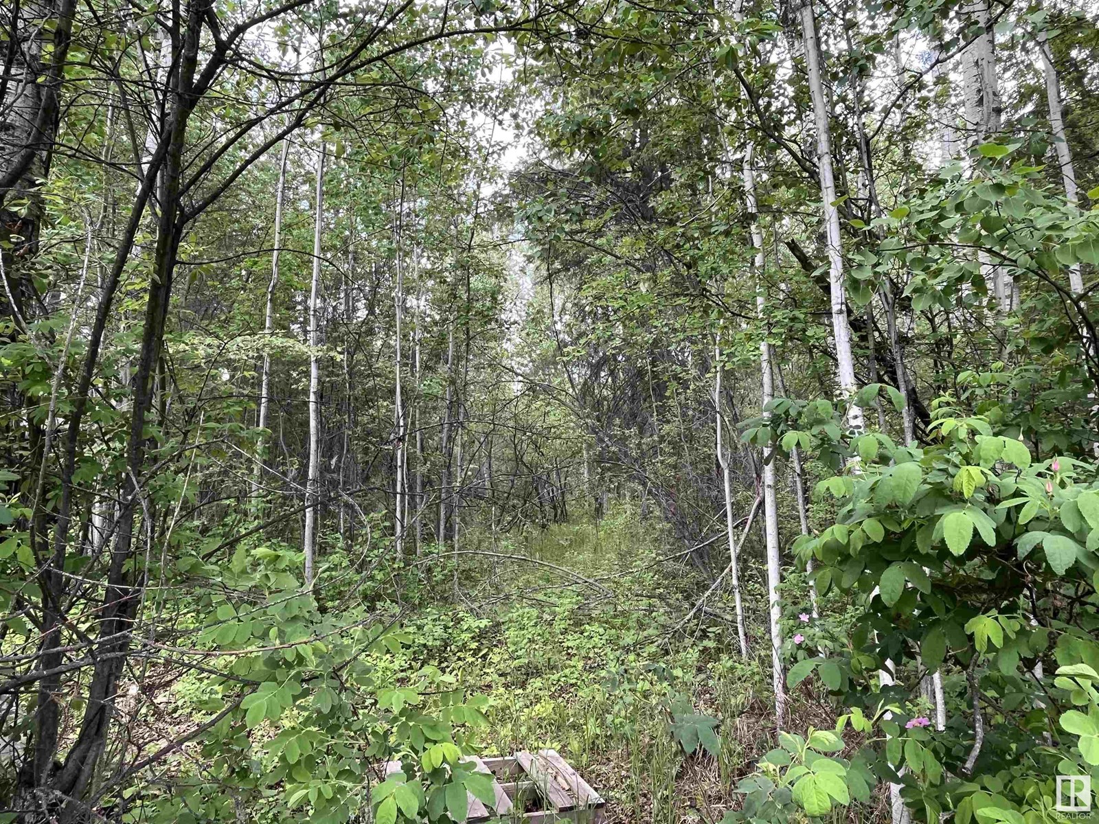 56403 Rge Road 43, Rural Lac Ste. Anne County, Alberta  T0E 0X0 - Photo 40 - E4440180