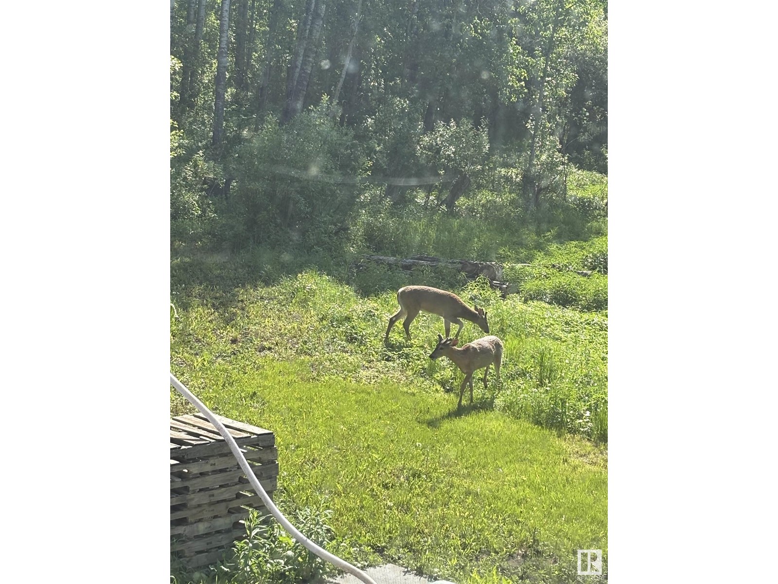 56403 Rge Road 43, Rural Lac Ste. Anne County, Alberta  T0E 0X0 - Photo 50 - E4440180
