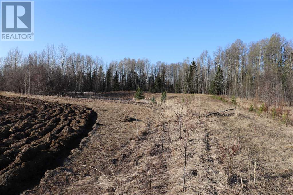 54222b Range Road 170, Rural Yellowhead County, Alberta  T7E 3N3 - Photo 10 - A2214786