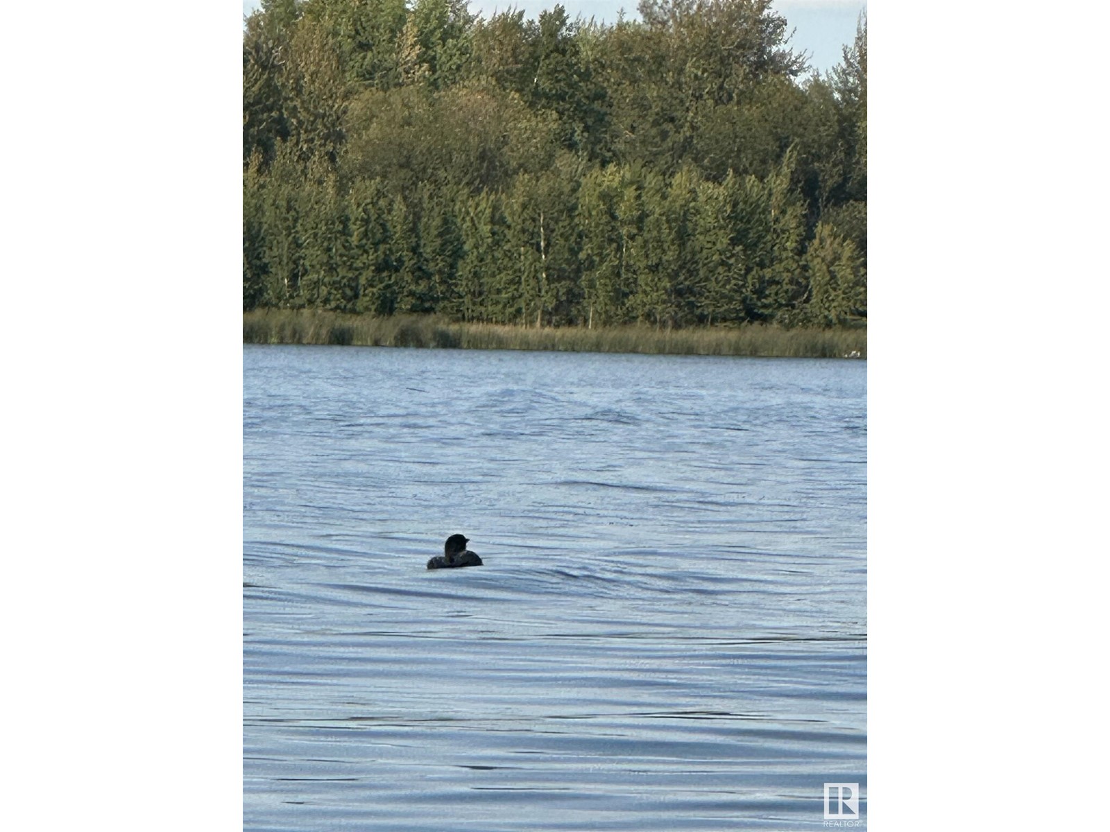 103 2307 Twp 522, Rural Parkland County, Alberta  T7Y 3L7 - Photo 21 - E4440184