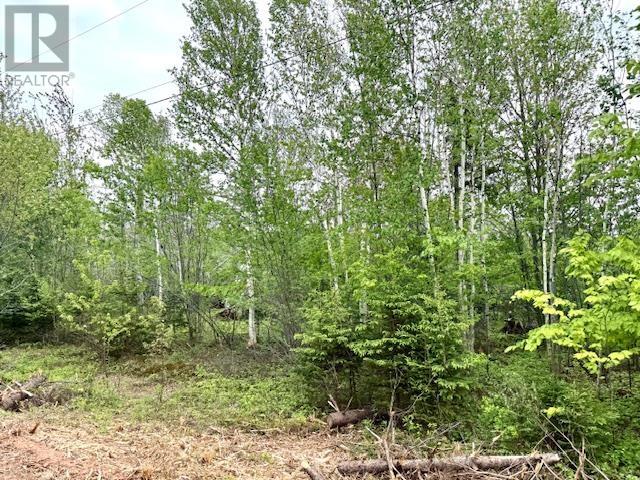 Lot 16a Cottage Country Lane, Mayfield, Prince Edward Island  C0A 1N0 - Photo 1 - 202513324