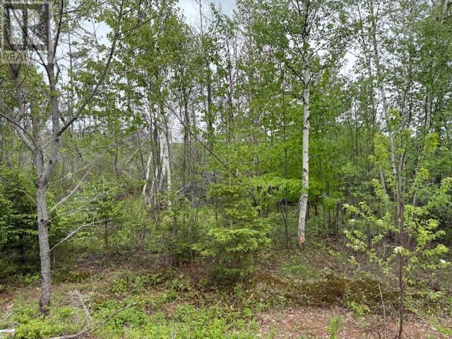 Lot 16a Cottage Country Lane, Mayfield, Prince Edward Island  C0A 1N0 - Photo 2 - 202513324
