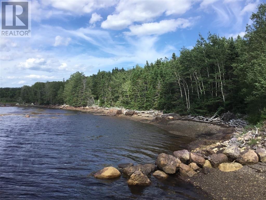 101 Bunyan's Cove Road, Port Blandford, Newfoundland & Labrador  A0C 1E0 - Photo 3 - 1285917
