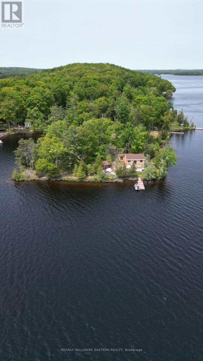 280 Big Island, Havelock-Belmont-Methuen, Ontario  K0L 1Z0 - Photo 1 - X12194435