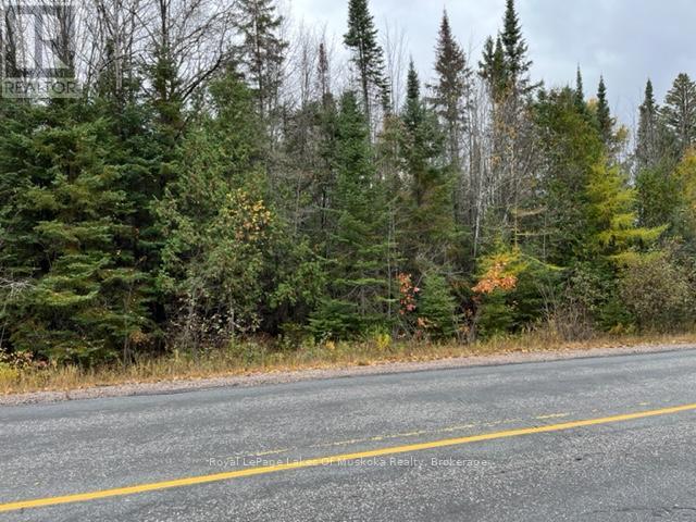 0 534 Highway, Nipissing, Ontario  P0H 1W0 - Photo 3 - X12025258