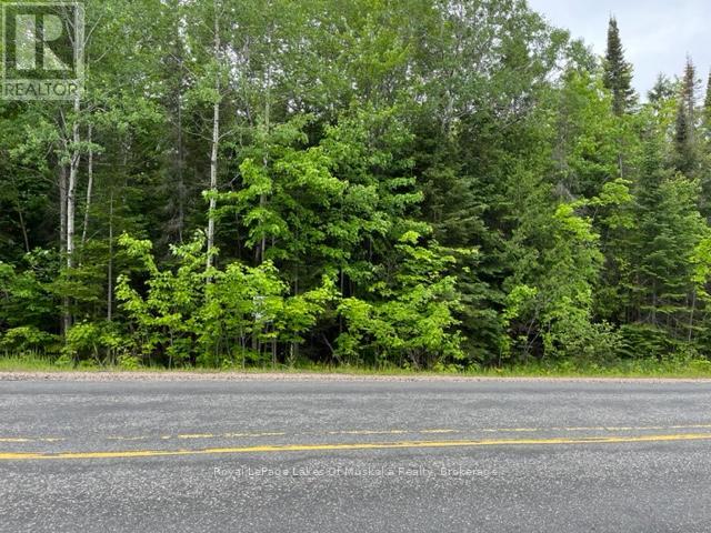 0 534 Highway, Nipissing, Ontario  P0H 1W0 - Photo 12 - X12025258