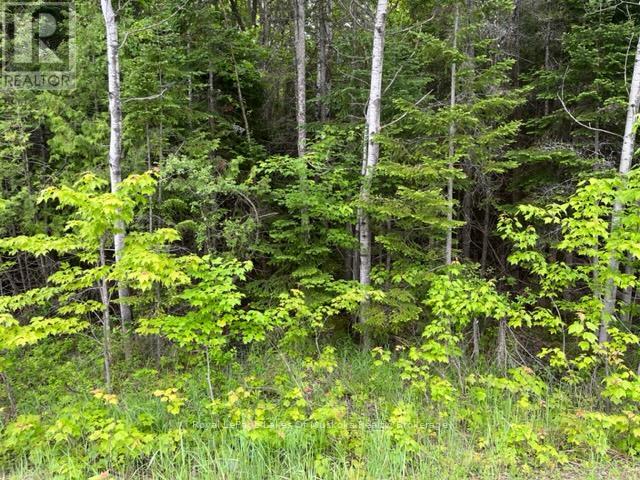 0 534 Highway, Nipissing, Ontario  P0H 1W0 - Photo 2 - X12025258