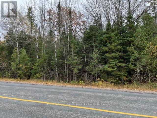 0 534 Highway, Nipissing, Ontario  P0H 1W0 - Photo 4 - X12025258