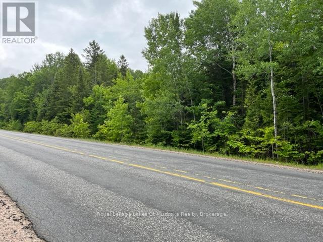 0 534 Highway, Nipissing, Ontario  P0H 1W0 - Photo 13 - X12025258