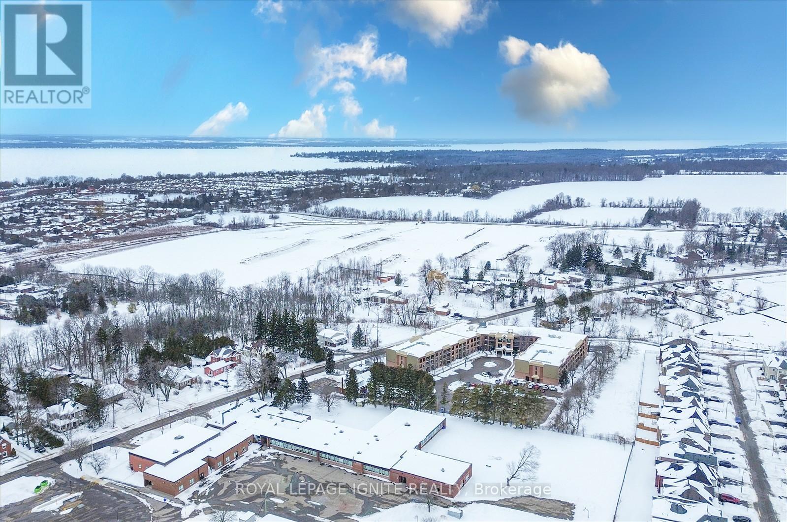301 Danny Wheeler Boulevard, Georgina, Ontario  L4P 0K1 - Photo 43 - N12163844
