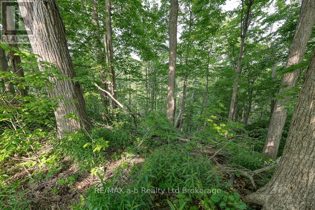 189 Rolph Street, Tillsonburg, Ontario  N4G 3Y9 - Photo 41 - X12194375