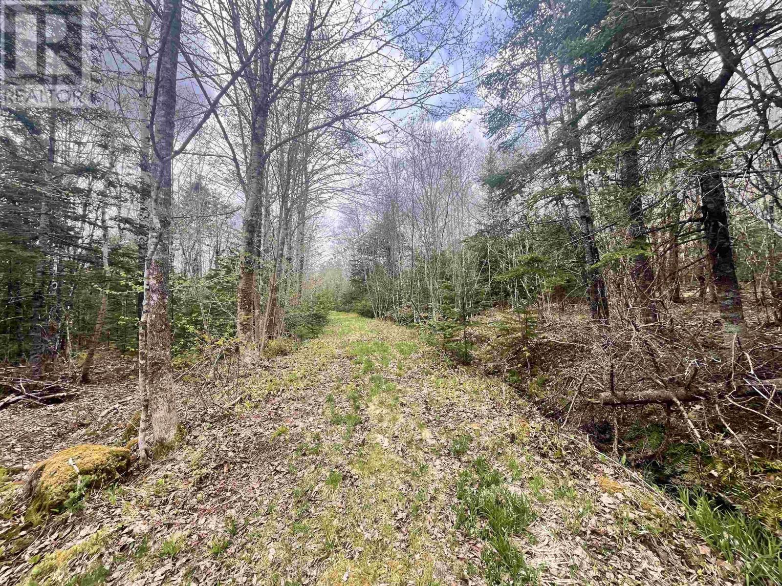 Property at Lot VB1 Camp Lake Drive image 5