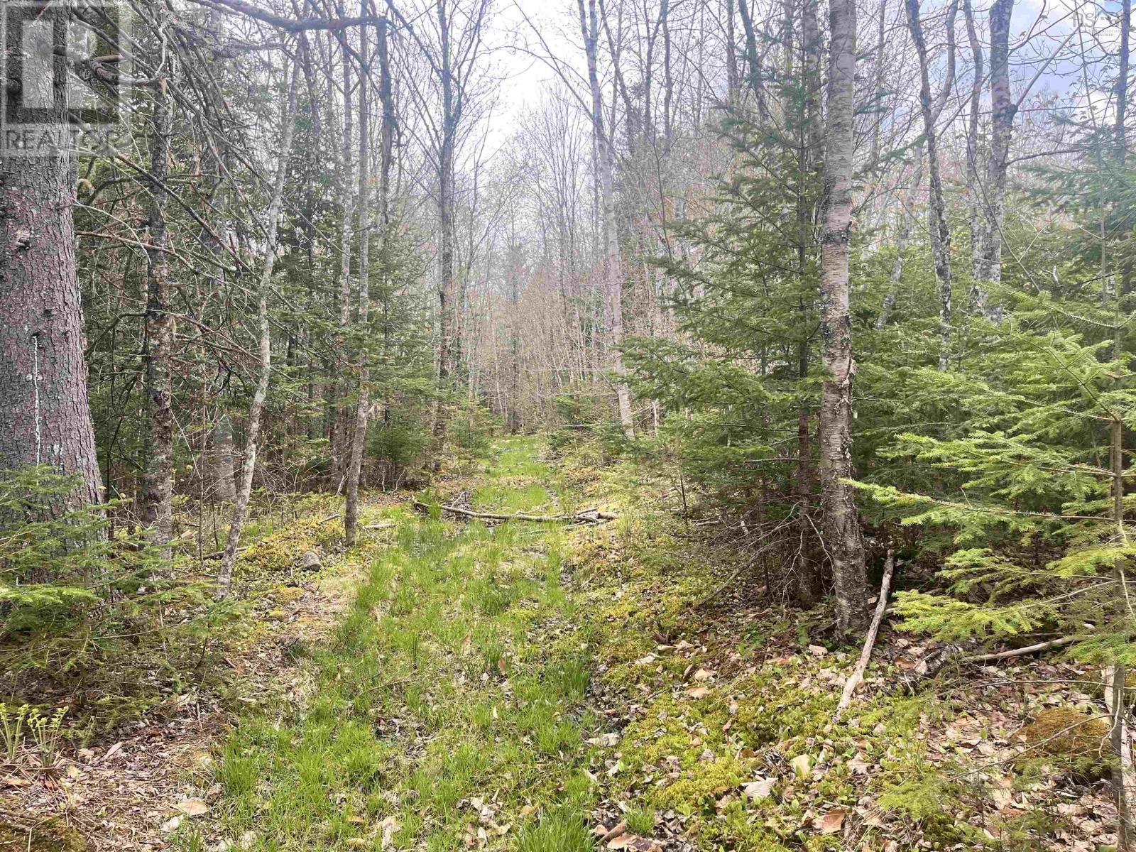 Lot Vb1 Camp Lake Drive, New Ross, Nova Scotia  B0J 2M0 - Photo 4 - 202513079