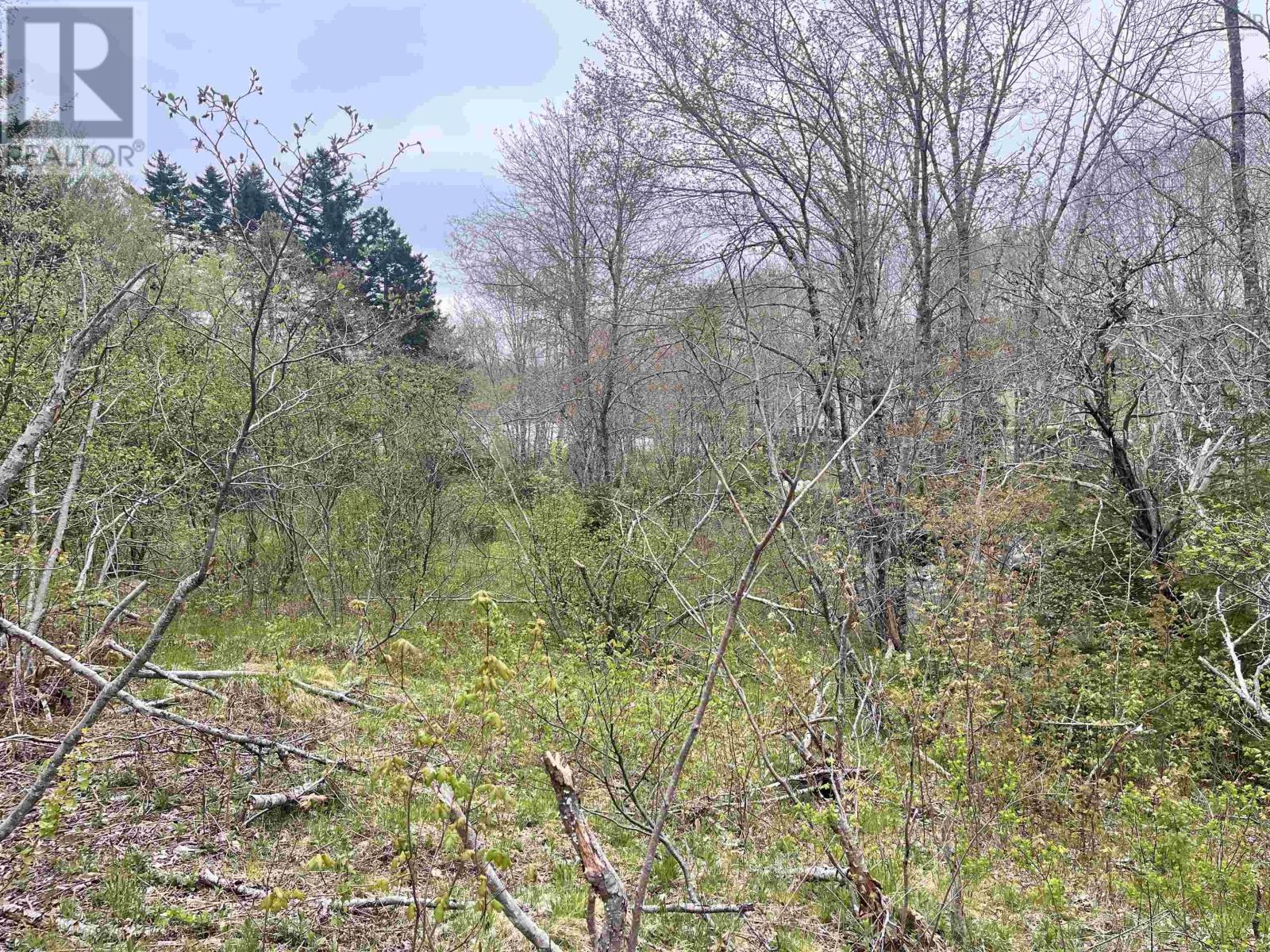 Lot Vb1 Camp Lake Drive, New Ross, Nova Scotia  B0J 2M0 - Photo 8 - 202513079