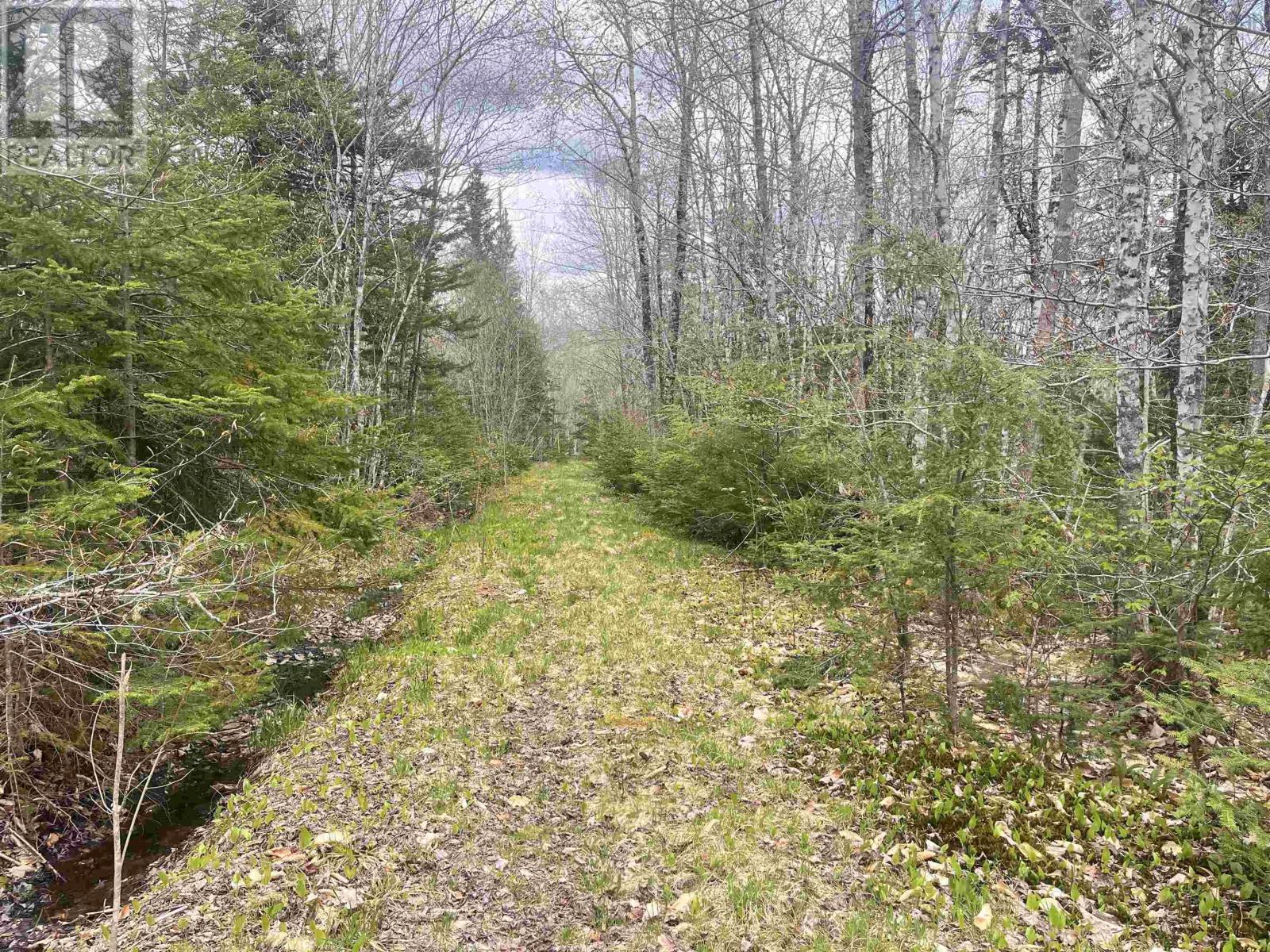 Lot Vb1 Camp Lake Drive, New Ross, Nova Scotia  B0J 2M0 - Photo 5 - 202513079