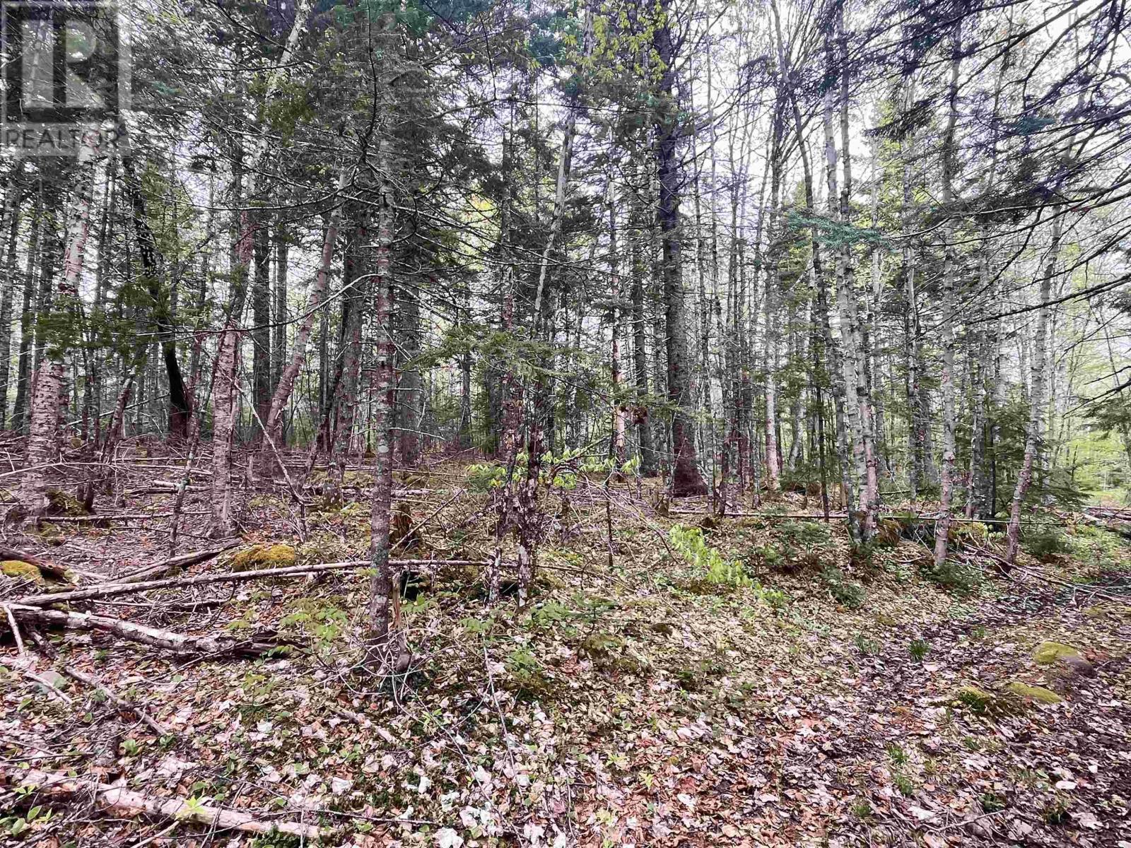 Lot Vb1 Camp Lake Drive, New Ross, Nova Scotia  B0J 2M0 - Photo 9 - 202513079