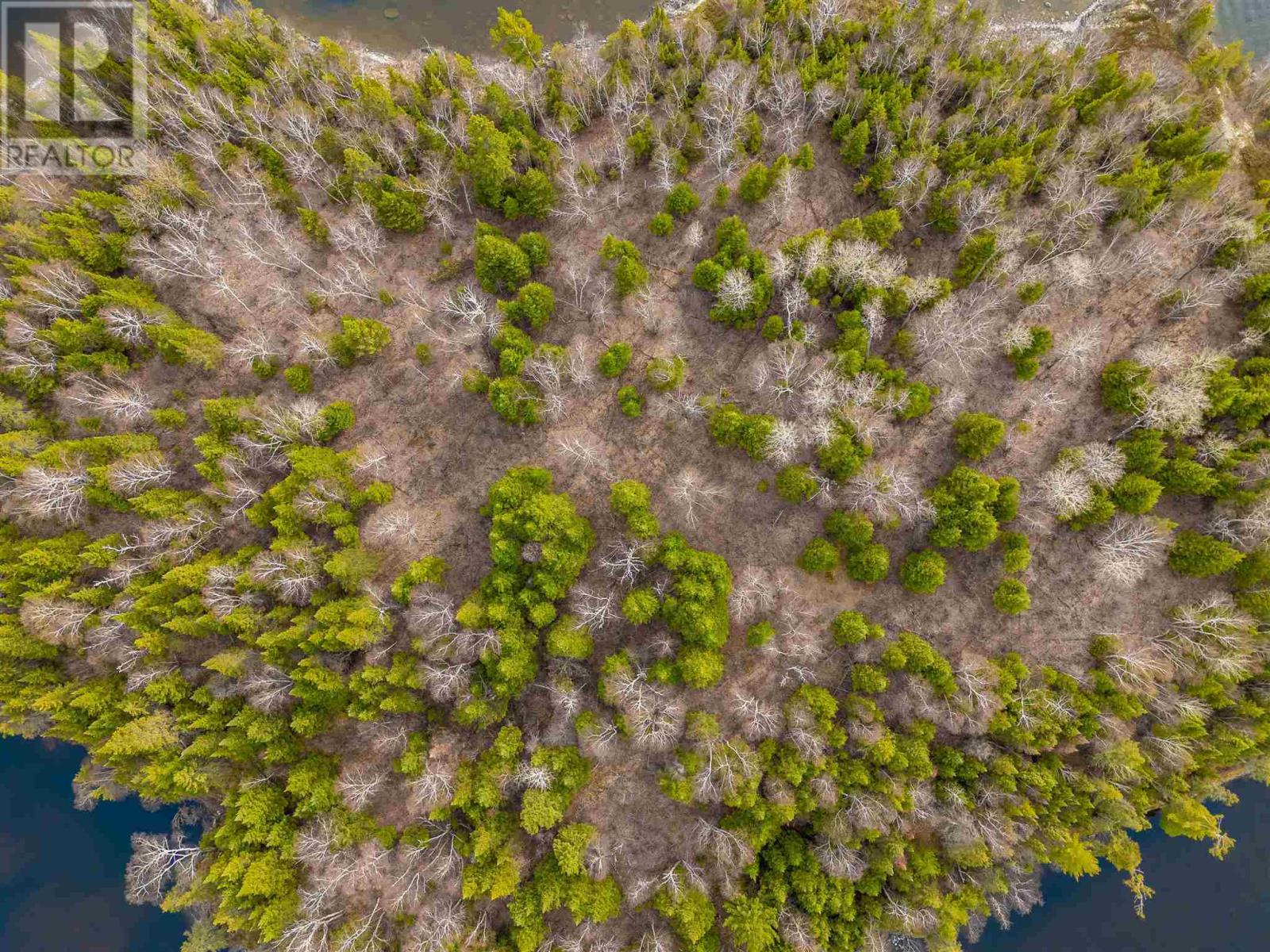 Island D49, Matheson Bay, Lake Of The Woods, Kenora, Ontario  P0X 1H0 - Photo 26 - TB233564