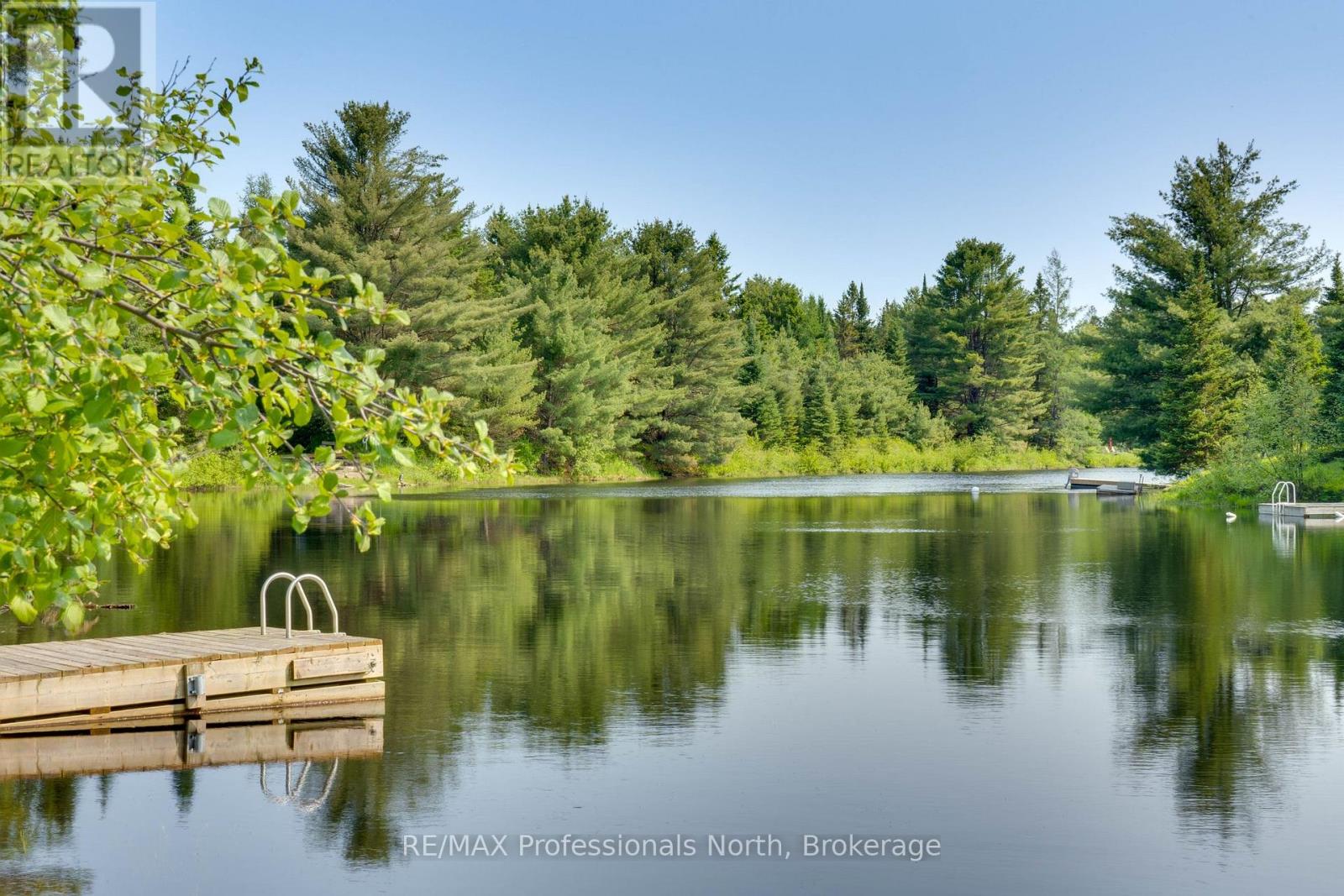 203 Bonnell Road, Bracebridge, Ontario  P1L 0M1 - Photo 48 - X12194484