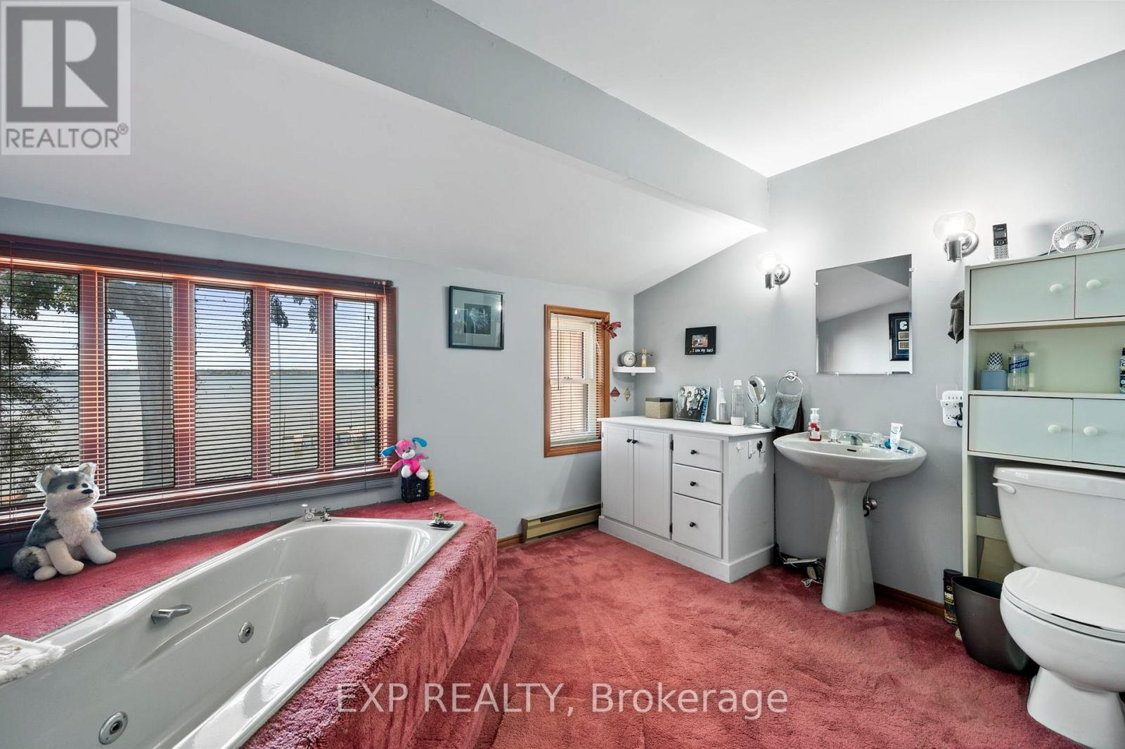 582 Duclos Point Road, Georgina (Virginia), Ontario  L0E 1N0 - Photo 23 - N12194552