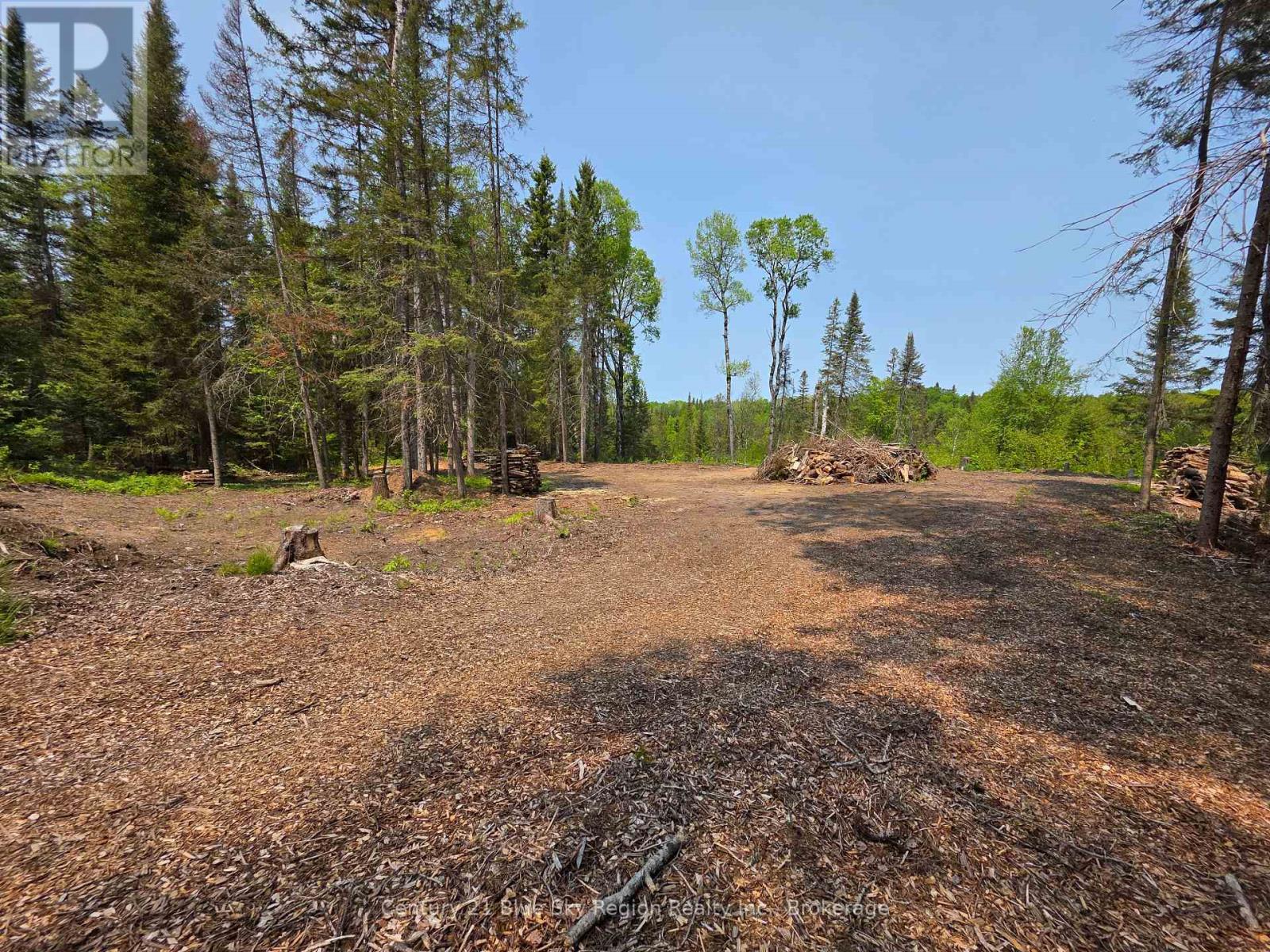 356 Hunt Line, Powassan, Ontario  P0H 1Z0 - Photo 12 - X12194622