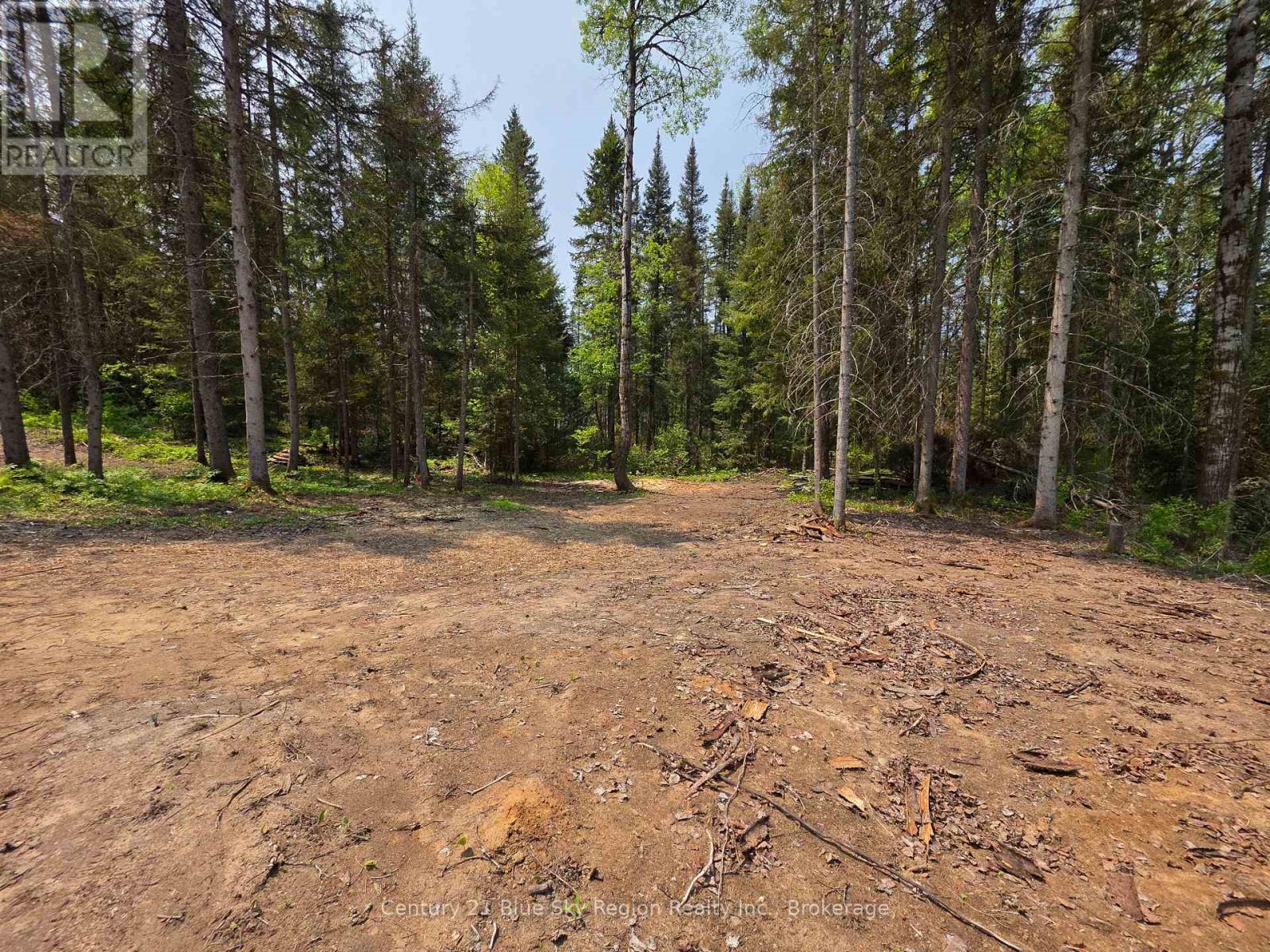 356 Hunt Line, Powassan, Ontario  P0H 1Z0 - Photo 13 - X12194622