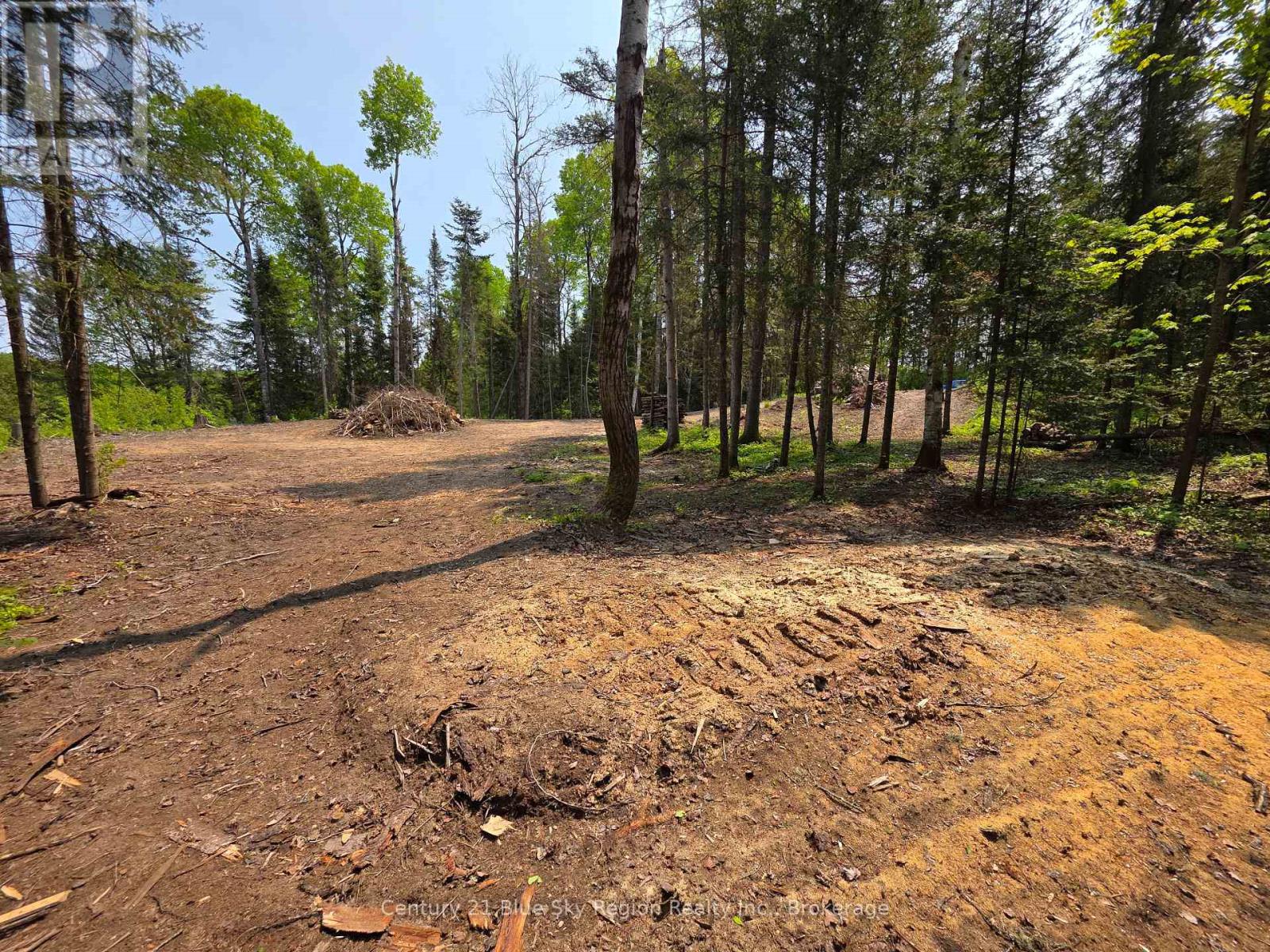 356 Hunt Line, Powassan, Ontario  P0H 1Z0 - Photo 15 - X12194622