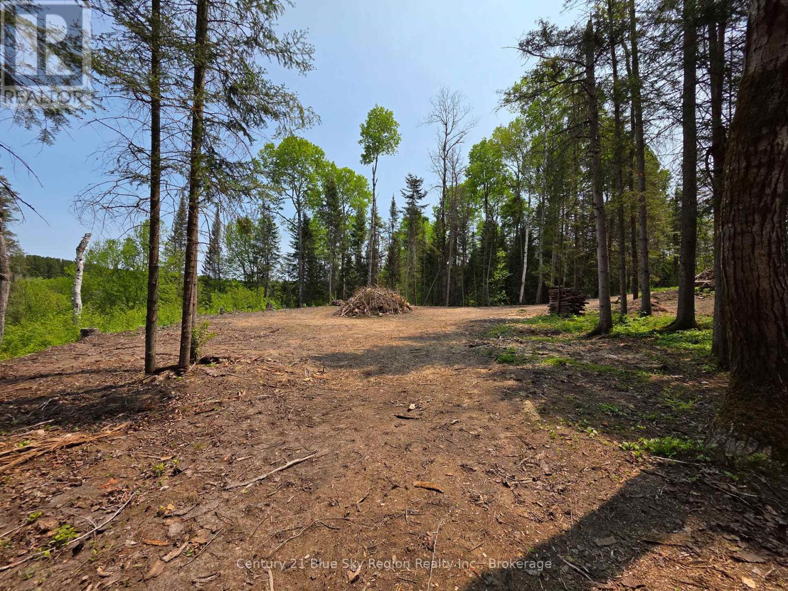 356 Hunt Line, Powassan, Ontario  P0H 1Z0 - Photo 16 - X12194622