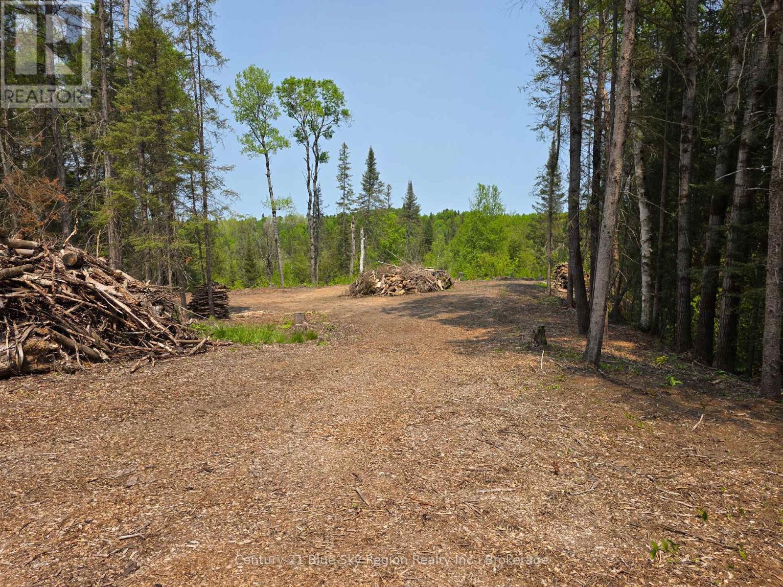 356 Hunt Line, Powassan, Ontario  P0H 1Z0 - Photo 9 - X12194622