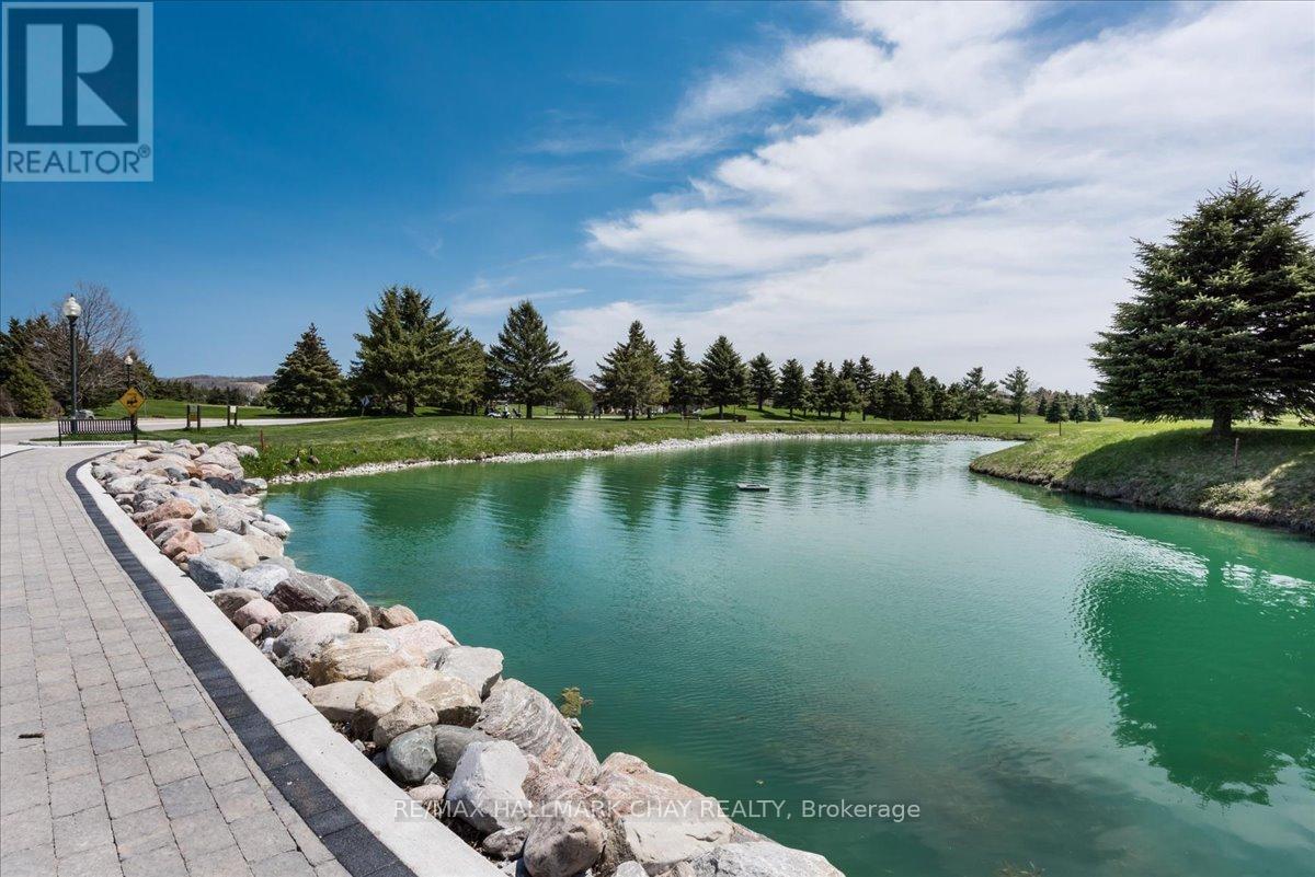 17 Artisan Lane, New Tecumseth, Ontario  L9R 2E3 - Photo 39 - N12183880