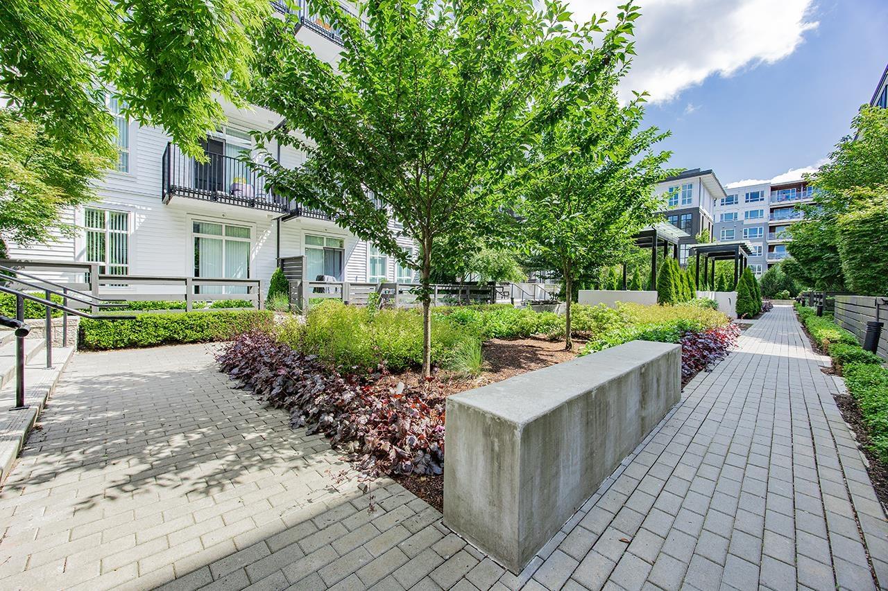 109 13929 105 Boulevard, Surrey, British Columbia  V3T 0R5 - Photo 19 - R3010606