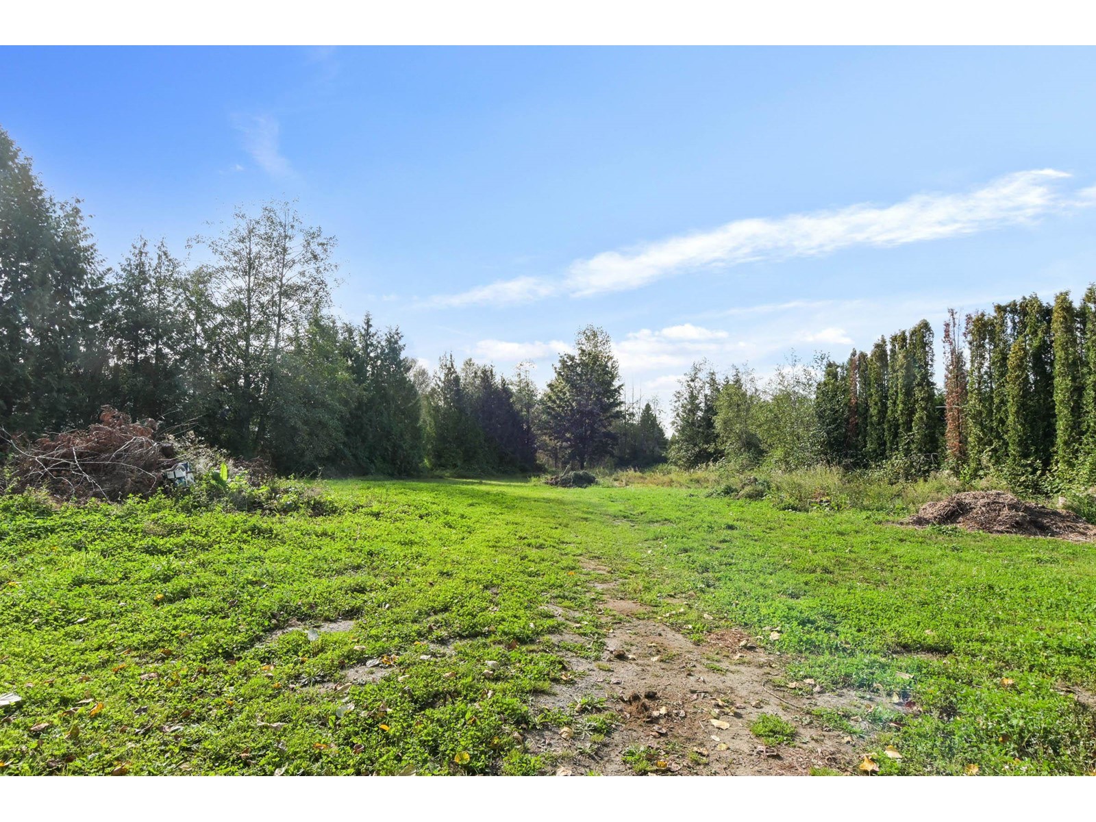 6063 256 Street, Langley, British Columbia  V4W 1K1 - Photo 31 - R3010234