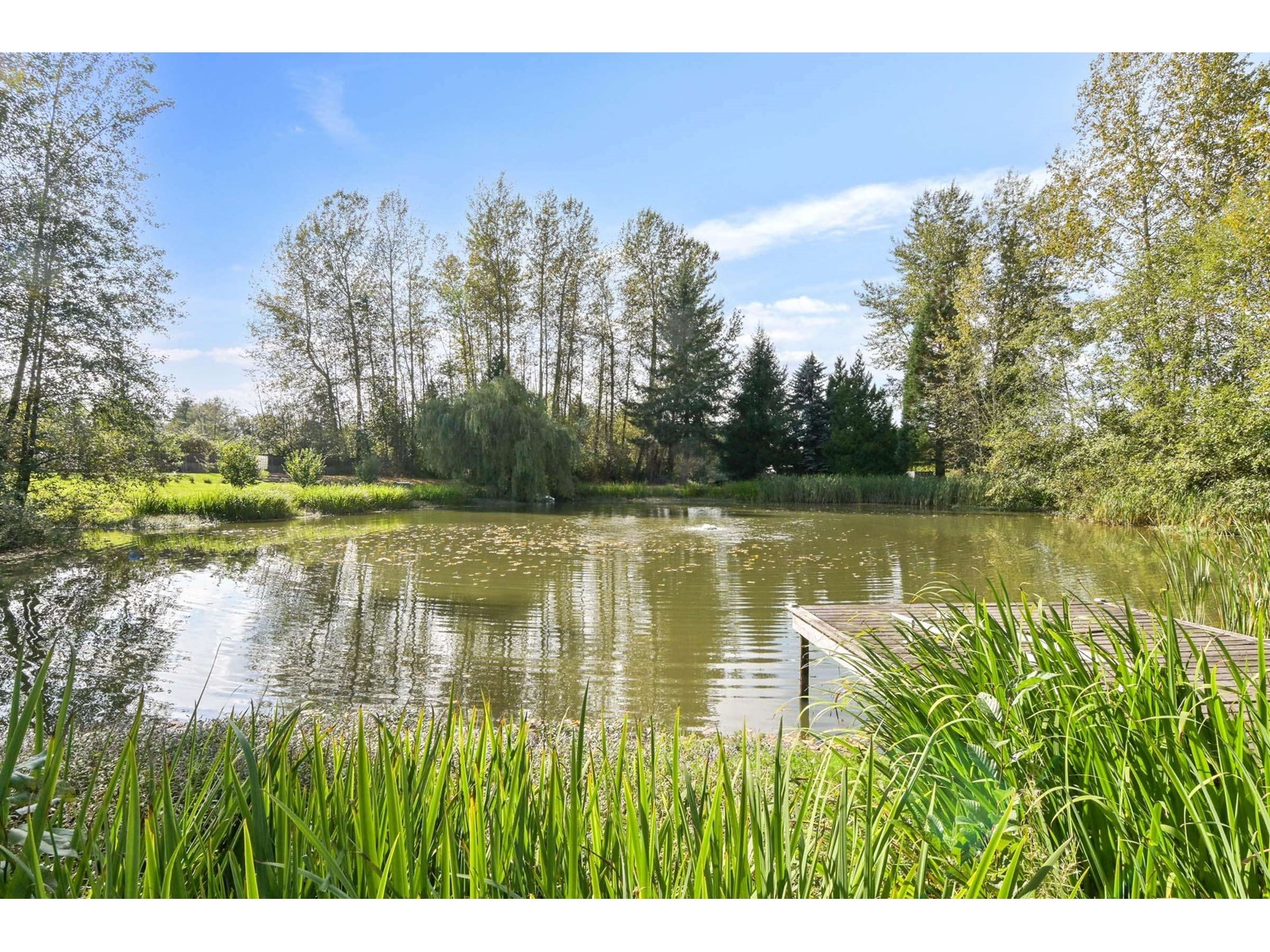 6063 256 Street, Langley, British Columbia  V4W 1K1 - Photo 29 - R3010234