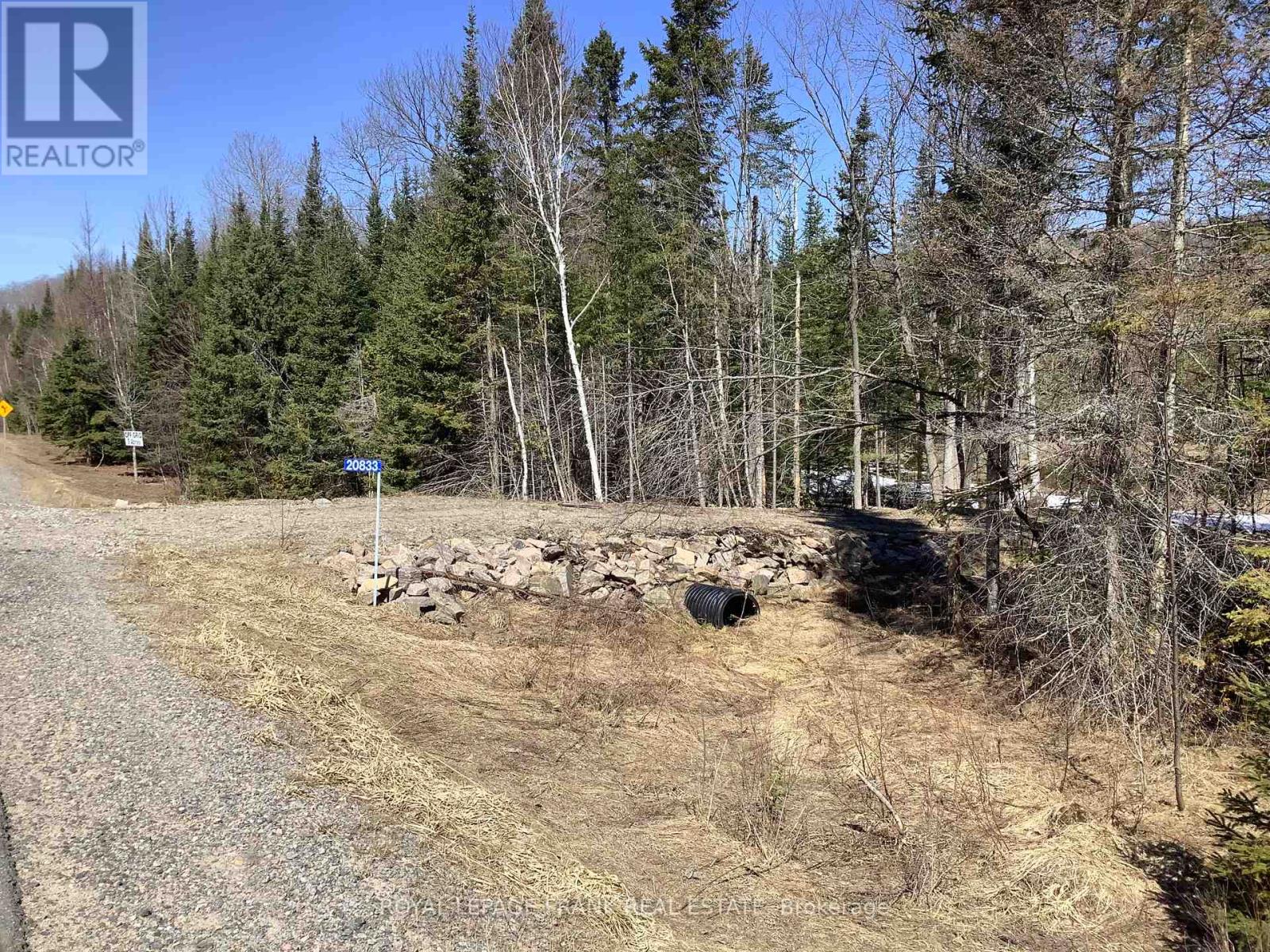 20833 Hwy 118, Highlands East, Ontario  K0L 3C0 - Photo 5 - X12087482