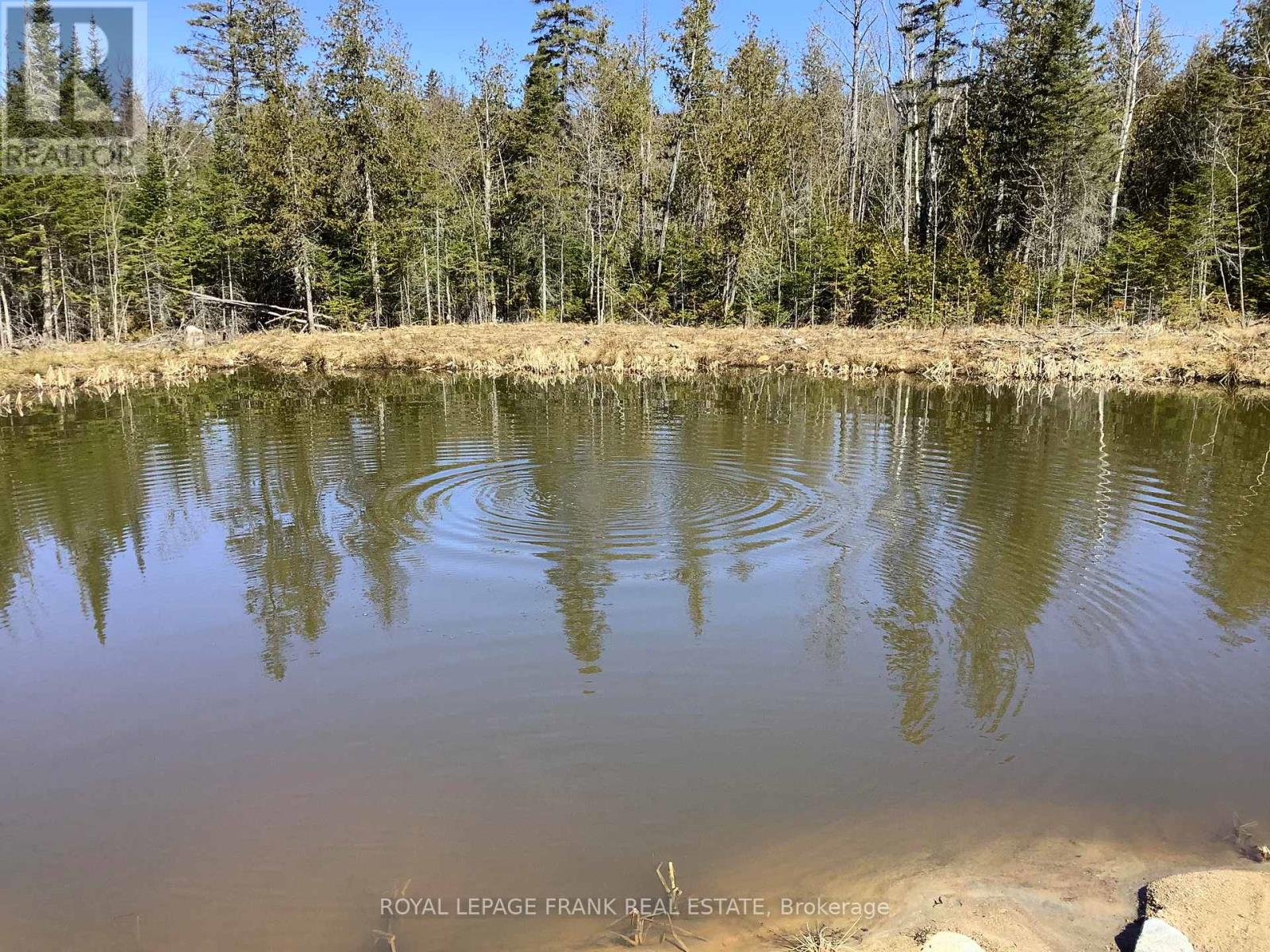 20833 Hwy 118, Highlands East, Ontario  K0L 3C0 - Photo 7 - X12087482