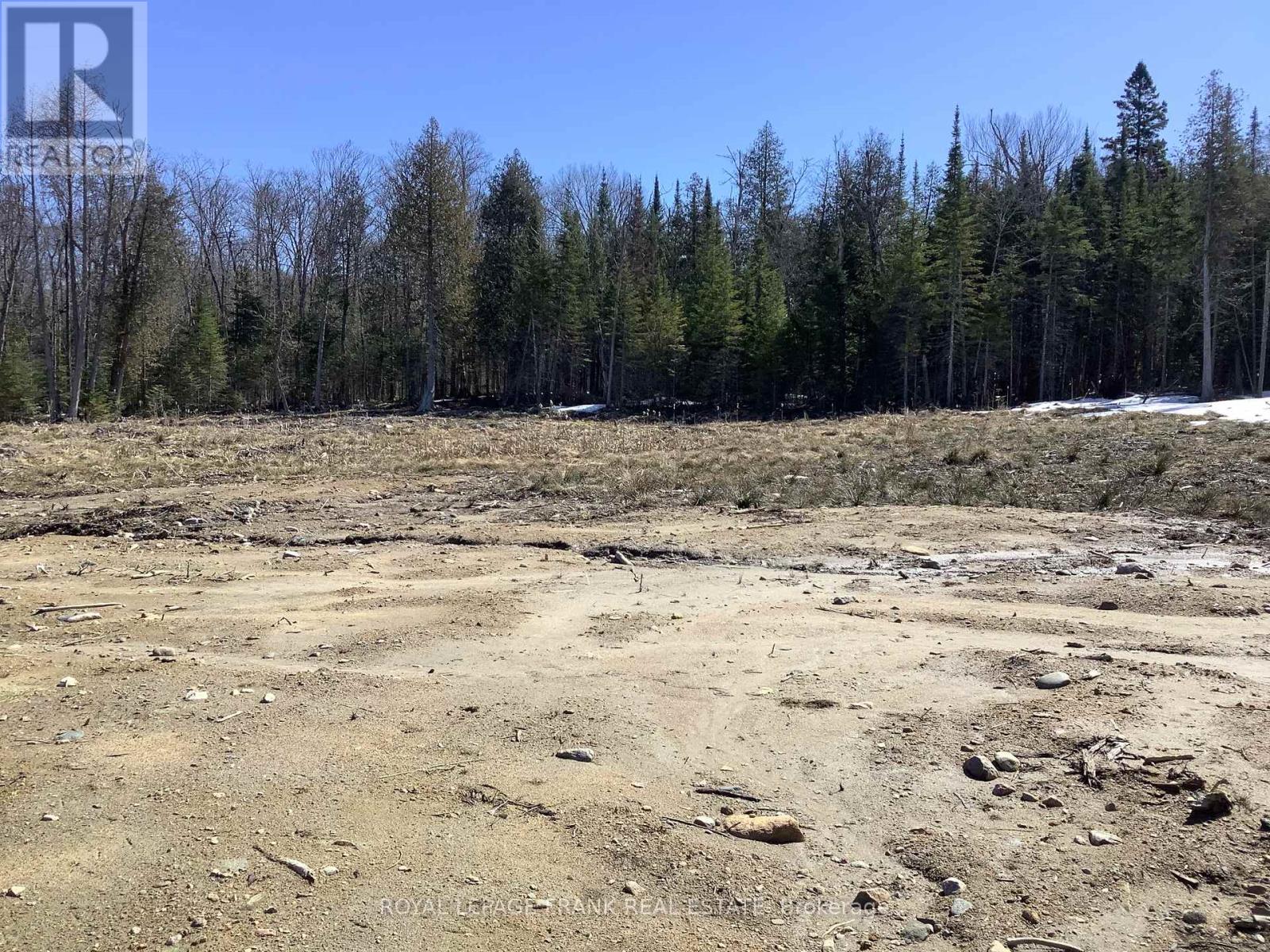 20833 Hwy 118, Highlands East, Ontario  K0L 3C0 - Photo 6 - X12087482