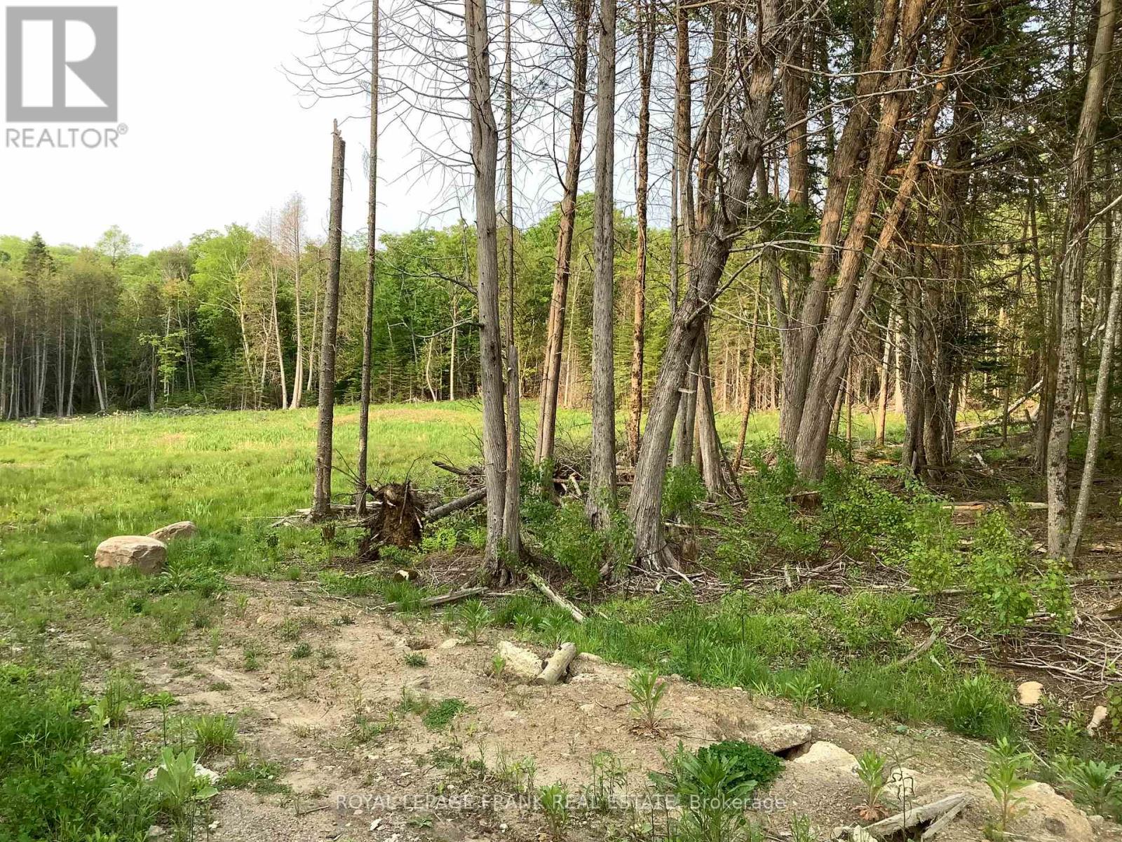 20833 Hwy 118, Highlands East, Ontario  K0L 3C0 - Photo 4 - X12087482