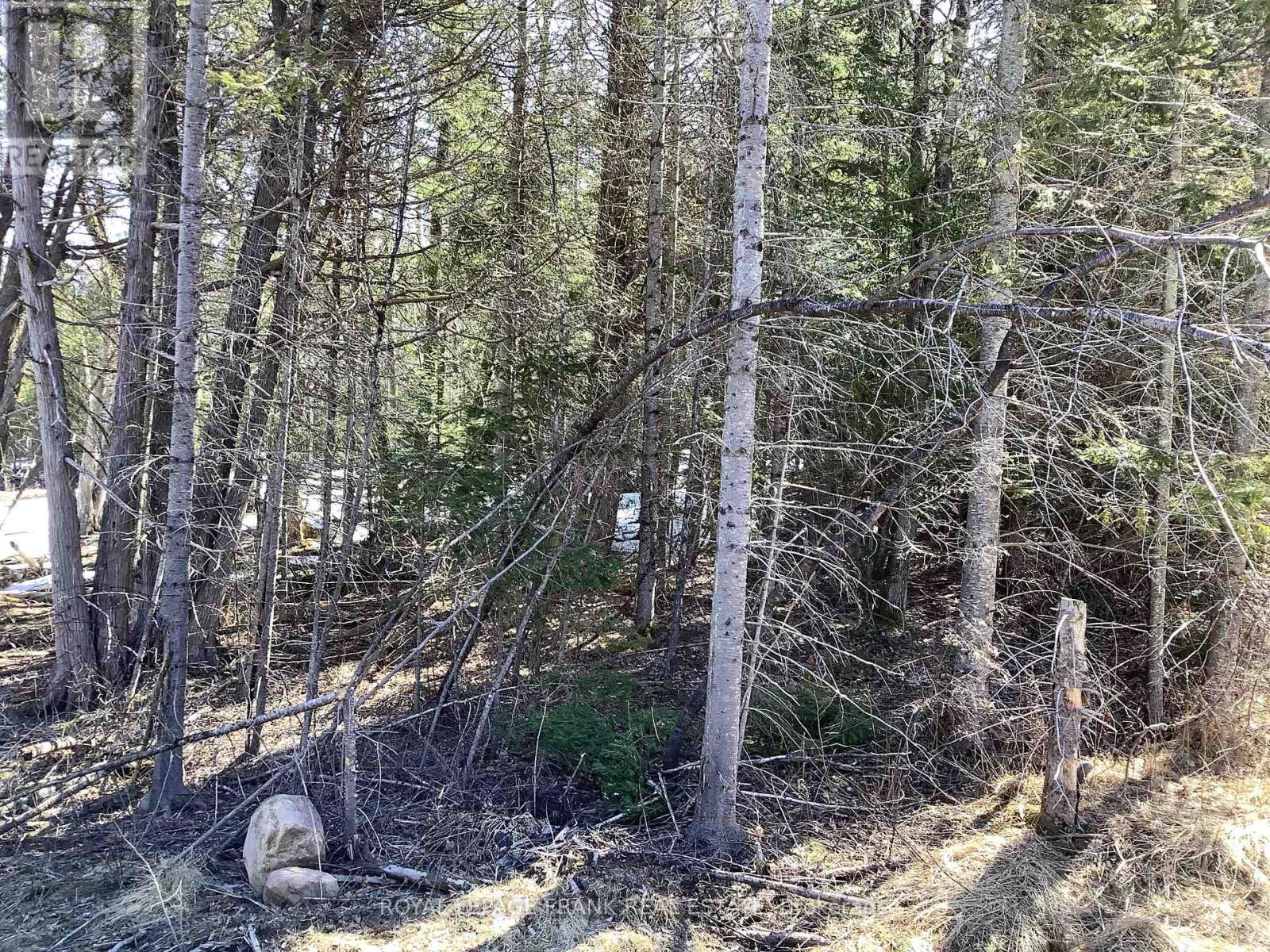 20833 Hwy 118, Highlands East, Ontario  K0L 3C0 - Photo 8 - X12087482