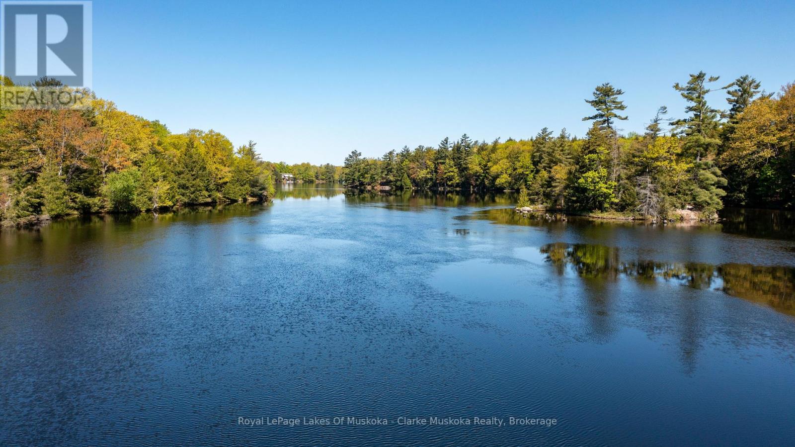 733 Whites Falls Road, Georgian Bay, Ontario  L0K 1S0 - Photo 10 - X12179731
