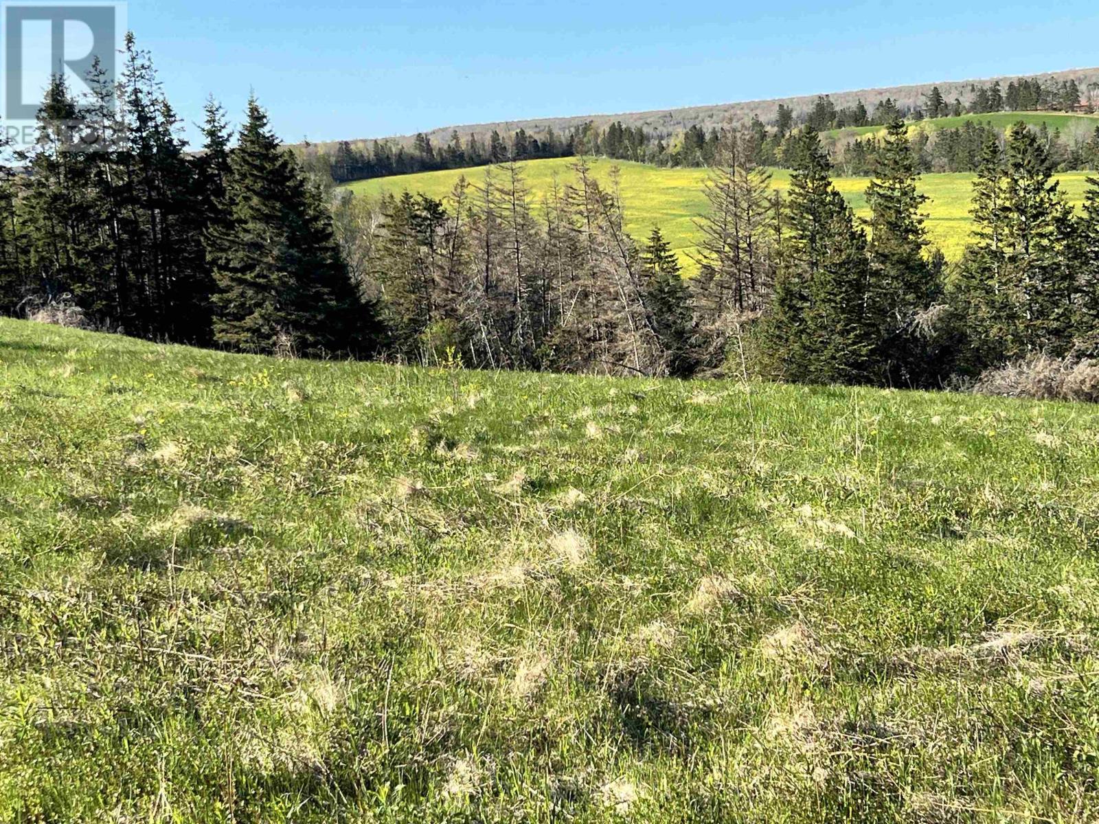 Tbd Monument Road, Stanchel, Prince Edward Island  C0A 1Y0 - Photo 10 - 202512521