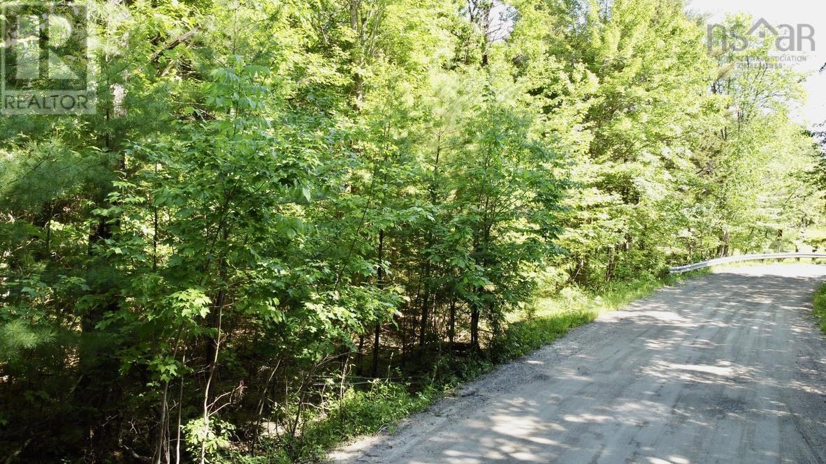 Lot 1 Wentzell Road, Baker Settlement, Nova Scotia  B4V 7J4 - Photo 17 - 202513367