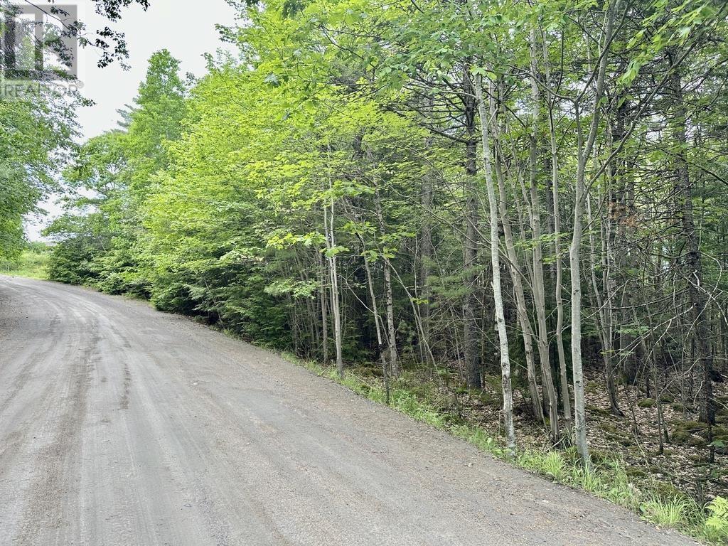 Lot 1 Wentzell Road, Baker Settlement, Nova Scotia  B4V 7J4 - Photo 14 - 202513367
