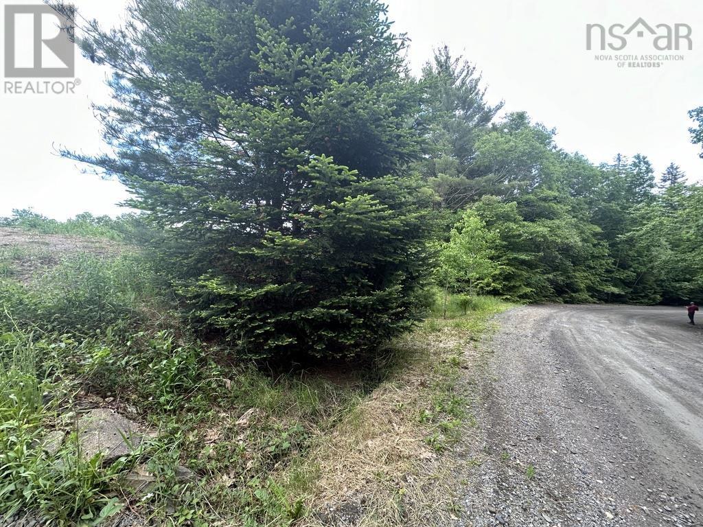 Lot 1 Wentzell Road, Baker Settlement, Nova Scotia  B4V 7J4 - Photo 16 - 202513367